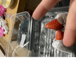 ダラダラみろみグループ