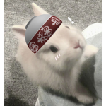 bunnybowl fan club