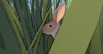 Rainclan roleplay