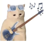 doggiess dog memes