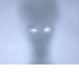 nightmare