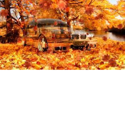 Autumn race
