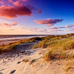warm dunes