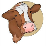 The Cow Kingdom