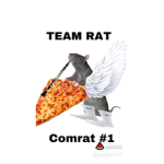 Team flying rats