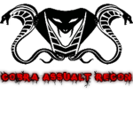 Cobra Assualt Recon