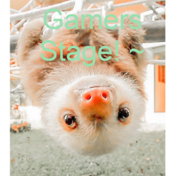 ~ Gamers Stage! ~