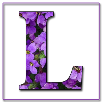 Letter L