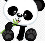 Panditas lindos