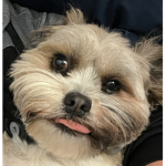 Chloe the cutie