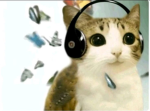 y_g