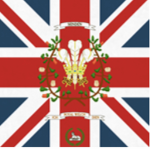 ~23rd Regiment Of Foot~