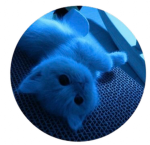 Amelia_editz 2nd group!