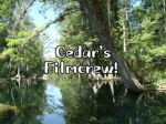 Cedarwings Film Crew!