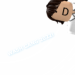 wash gang
