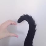 Tanie's <3