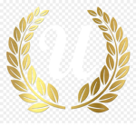 ROBUX For For my best best best roblox friends