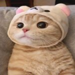 Smug_Studio