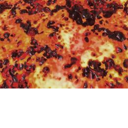 Step on correct ice to escape lava!!!!