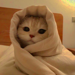 ✧