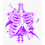 purple skeletons
