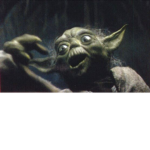 "BFL"