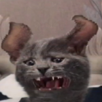 •¥•