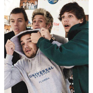 ✿ One Direction ✿