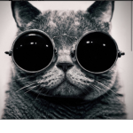 .Cool.Catz.