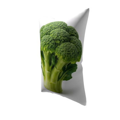 Broccoli Pillow Roblox item