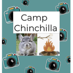 Camp Chinchilla Bloxburg!
