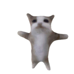 happy happy cat yay