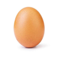 Egg Mart:)
