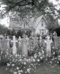୨ৎmorte hospital