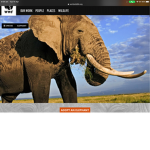 Peanut butter_elephant