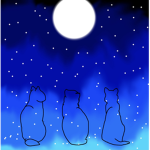 *~* StarCove *~*