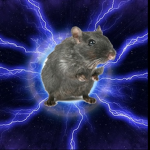The Thunder Rat Mafia