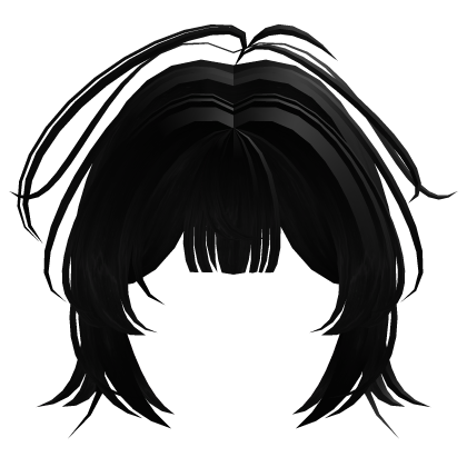 Fluffy Black Bangs