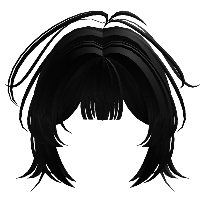 Fluffy Black Bangs