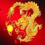 Golden Dragon Clothing TM