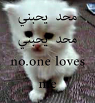 MailGroup