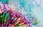 Rainbow Fizzies