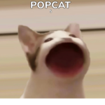 Pop cat is better