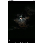 The night cult