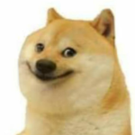 Doge eater