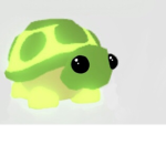 The Turtle Shell Squad