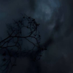 dying faith