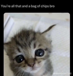 SoS1LLY