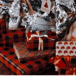 🦌✰🎄