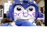 Borthers For Life